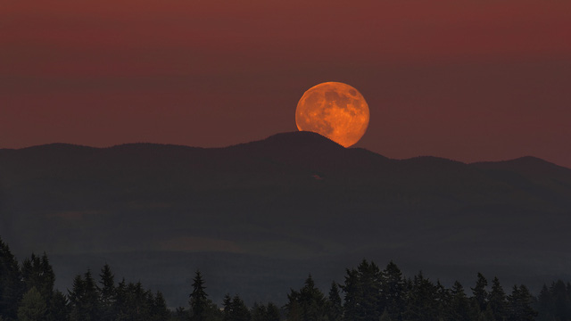 The Harvest Moon may look red when it rises. This is because the Full Moon rises at sunset, and refraction causes more of the red sunlight to come through at that time, giving the Moon a red tint