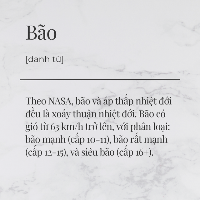 Vì sao áp thấp nhiệt đới mạnh lên thành bão?- Ảnh 4.