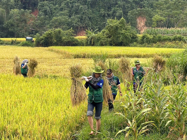 Hoa hậu Bảo Ngọc, Quế Anh tham gia đội tình nguyện khắc phục hậu quả bão số 3 - Ảnh 1.