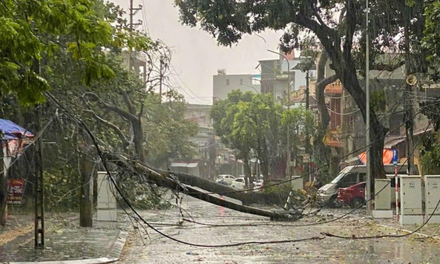 Những thiệt hại do bão số 3 (bão Yagi) tại các tỉnh thành- Ảnh 4.