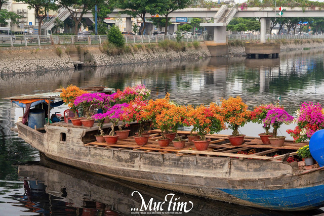 Thuyền hoa Tết rộn ràng cập bến Bình Đông- Ảnh 1.