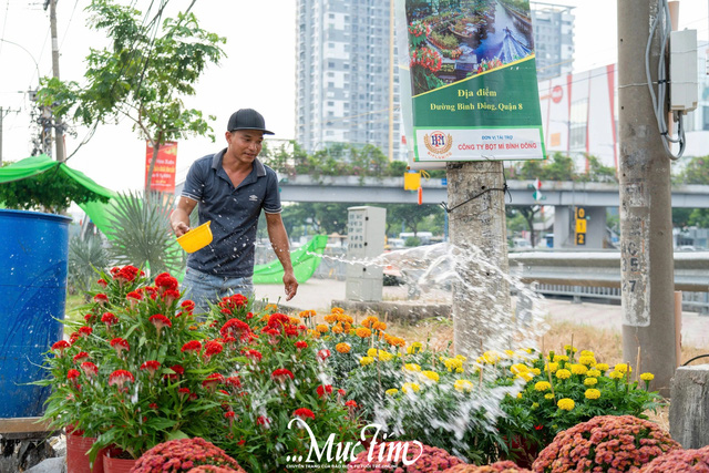 Thuyền hoa Tết rộn ràng cập bến Bình Đông- Ảnh 2.