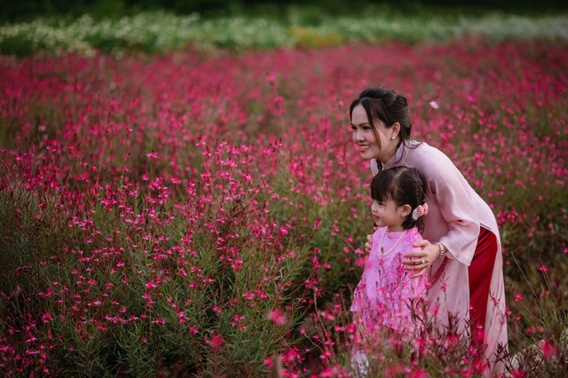 Mãn Đình Hồng - cánh đồng hoa mộng mơ của Tiền Giang đã mở cửa- Ảnh 7.