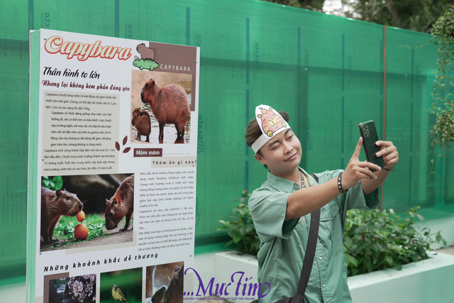 Sáng nay 3-1, 'nhóm nhạc' capybara bẽn lẽn giao lưu với fan- Ảnh 2.