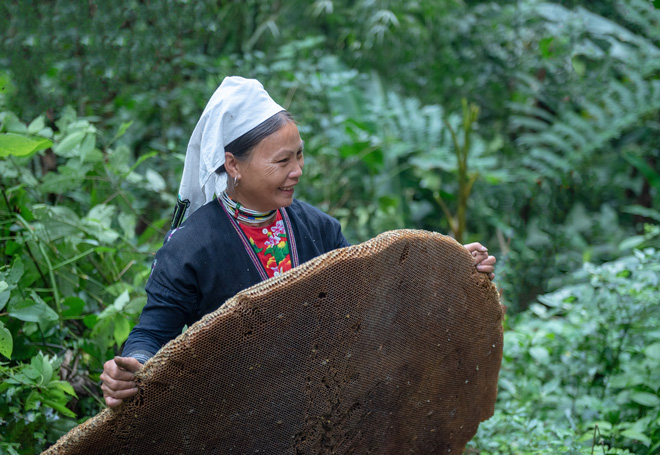 Lên Hoài Khao, ngắm sáp ong, ăn món Dao Tiền