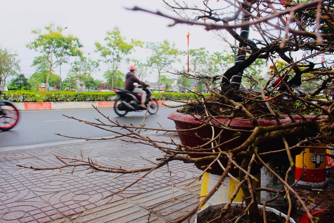 Thời tiết hôm nay 11-1: Cả nước có mưa, Nam Bộ vẫn tiếp tục mưa trái mùa - Ảnh 1. Thời tiết hôm nay 11-1: Cả nước có mưa, Nam Bộ vẫn tiếp tục mưa trái mùa - Ảnh 1.