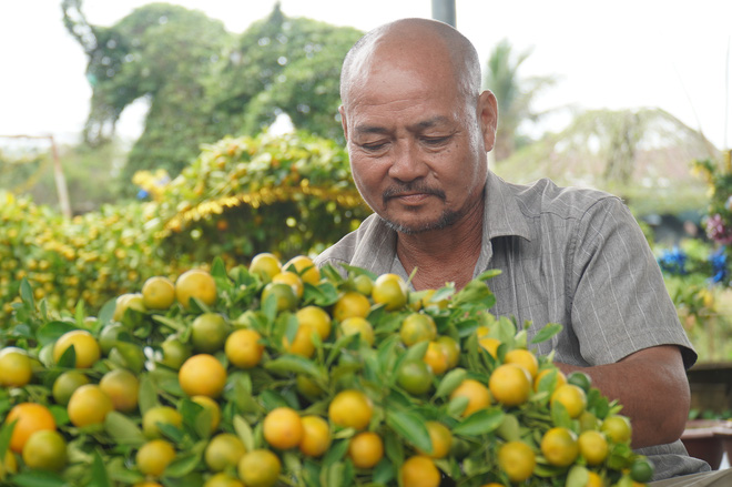 Cho rằng linh vật mèo không may mắn, làng kiểng thú khan hiếm hàng - Ảnh 3.