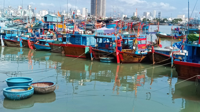 Tàu cá bám biển xuyên Tết: Năm nào không ăn Tết trên biển lại thấy thiếu gì đó - Ảnh 8.