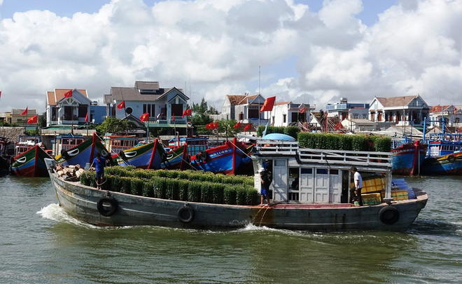 Tranh thủ chở Tết ra đảo Lý Sơn trước khi thời tiết xấu - Ảnh 10.