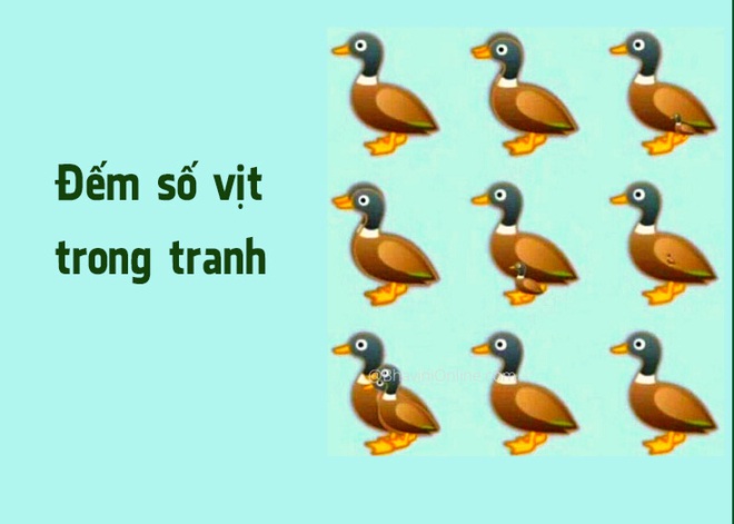Có bao nhiêu con vịt trong tranh? Kết quả sẽ khiến bạn bất ngờ - Ảnh 1. Có bao nhiêu con vịt trong tranh? Kết quả sẽ khiến bạn bất ngờ - Ảnh 1.