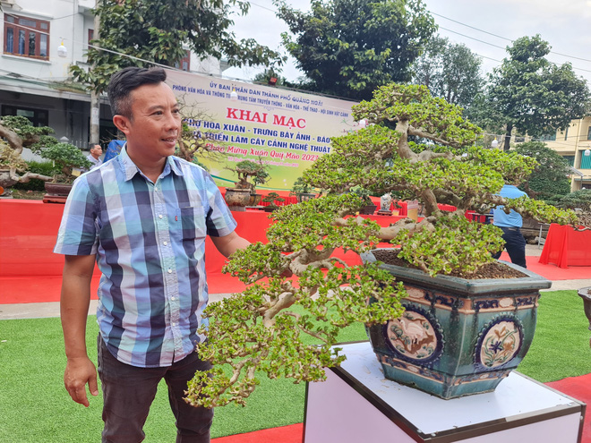 Ngắm những cây bonsai tuyệt đẹp ở chợ hoa xuân Quảng Ngãi - Ảnh 1.