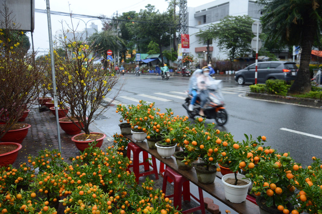 Mưa gió liên tục, chợ hoa Tết Quảng Ngãi dìu hiu, người bán hoa méo mặt - Ảnh 1.