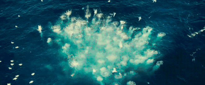 Ocean: Sẽ ra sao nếu con người cứ tàn ác với đại dương? - Ảnh 2.