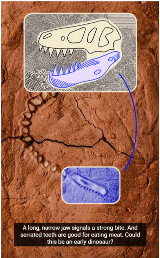 Lý do hình ảnh khủng long Staurikosauru xuất hiện trên trang chủ Google- Ảnh 4.