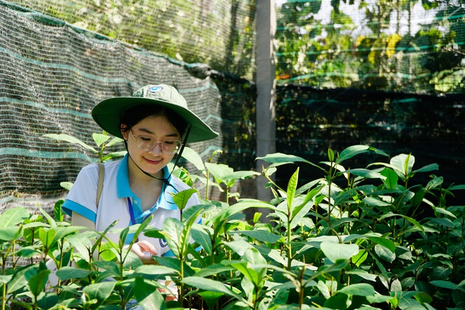 Song Tử Tây - vườn ươm xanh giữa Trường Sa- Ảnh 8.