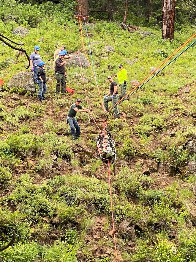 Chú chó chạy hơn 6km giữa đường rừng núi, cứu chủ thoát chết trong tai nạn- Ảnh 4. Chú chó chạy hơn 6km giữa đường rừng núi, cứu chủ thoát chết trong tai nạn- Ảnh 4.