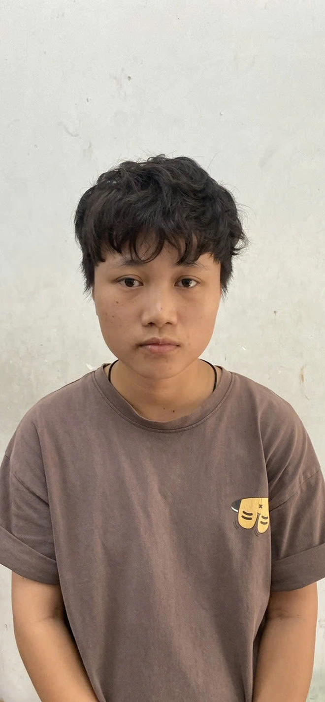 Công an TP.HCM thông tin triệt phá đường dây mua bán trẻ sơ sinh liên quan 32 tỉnh, thành - Ảnh 4.