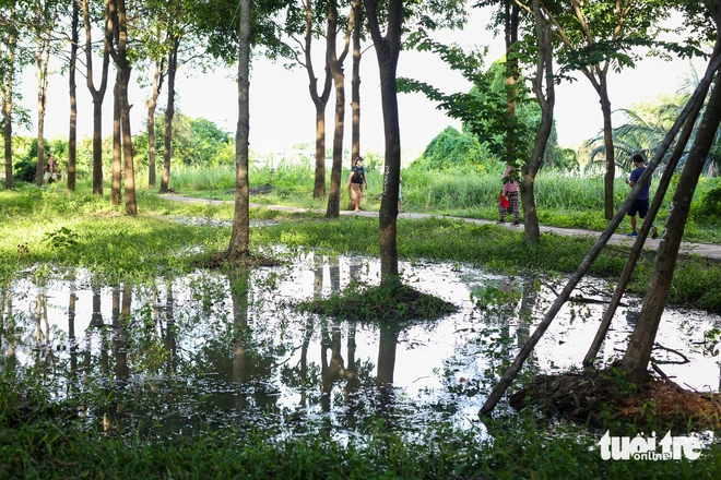 Dự án công viên văn hóa Gò Vấp vẫn dang dở sau 23 năm phê duyệt- Ảnh 11. Dự án công viên văn hóa Gò Vấp vẫn dang dở sau 23 năm phê duyệt- Ảnh 11.