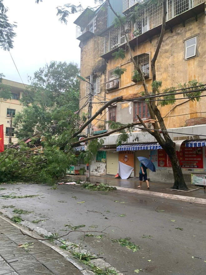 Bão số 3 đã qua, sinh viên Hà Nội hối hả khắc phục sau cơn bão- Ảnh 3.