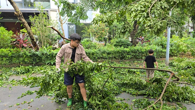 Tin tức giải trí 9-9: Quyền Linh nói về tin đồn nợ nần; Xuân Bắc và con trai dọn cây đổ sau bão - Ảnh 3.