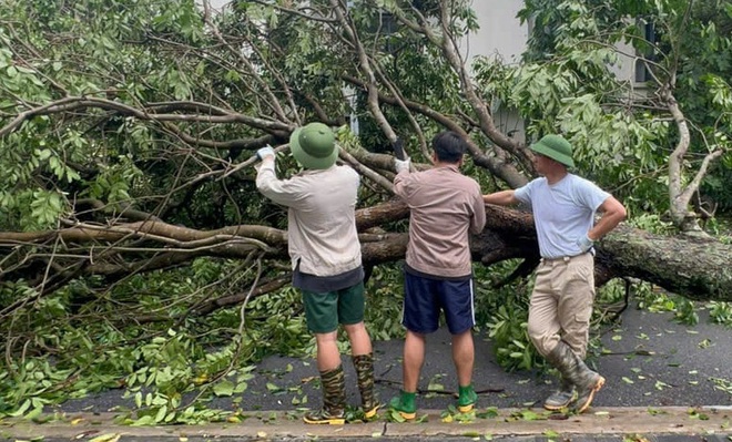 Tin tức giải trí 9-9: Quyền Linh nói về tin đồn nợ nần; Xuân Bắc và con trai dọn cây đổ sau bão - Ảnh 2.