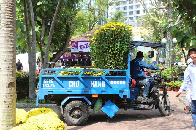 Ngập tràn sắc màu chợ hoa Tết tại một số công viên quận 1 (TP.HCM)- Ảnh 25.