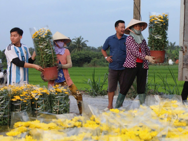 Không khí Tết tưng bừng tại làng hoa Thạnh Trị (Tiền Giang)- Ảnh 11.