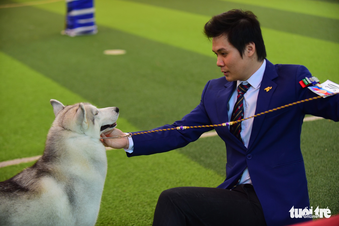 Xem cún cưng tranh tài trong Dog show 2017 tại Sài Gòn