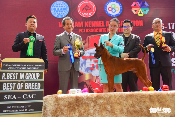 Xem cún cưng tranh tài trong Dog show 2017 tại Sài Gòn