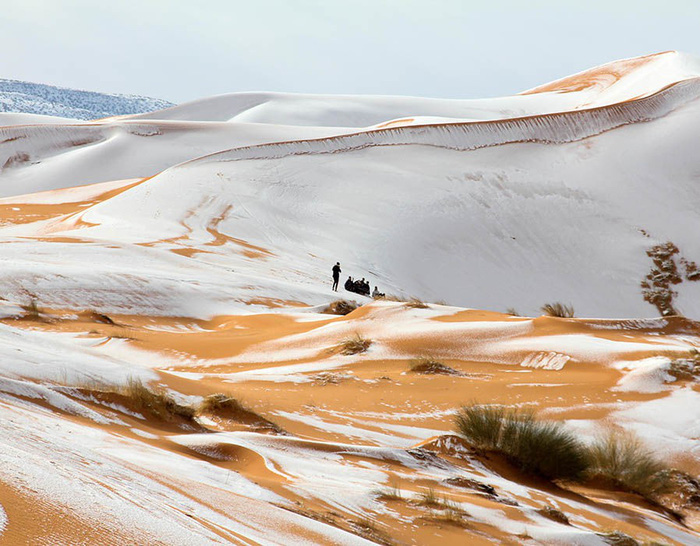 Chuyện khó tin: tuyết rơi phủ trắng sa mạc Sahara - Ảnh 12.