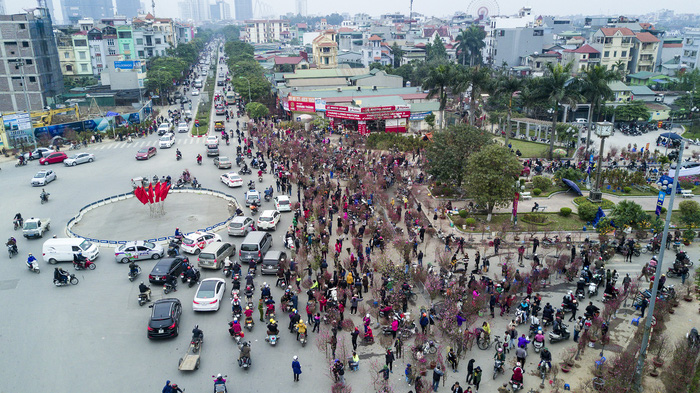 Dân Hà Nội đổ xô ra chợ hoa mua đào chơi Tết - Ảnh 8.