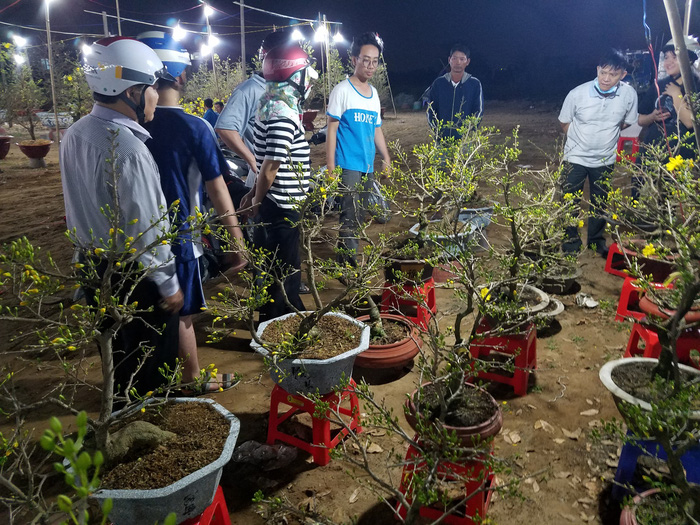 Dân Sài Gòn hối hả săn mai Tết tận khuya - Ảnh 3.