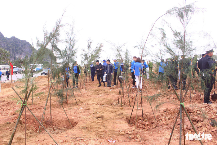 Trồng 5ha phi lao khởi công Tháng thanh niên - Ảnh 5.