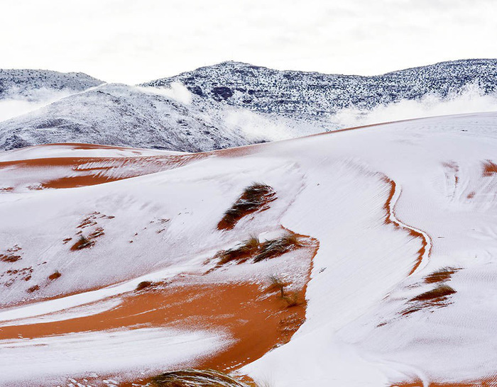 Chuyện khó tin: tuyết rơi phủ trắng sa mạc Sahara - Ảnh 3.