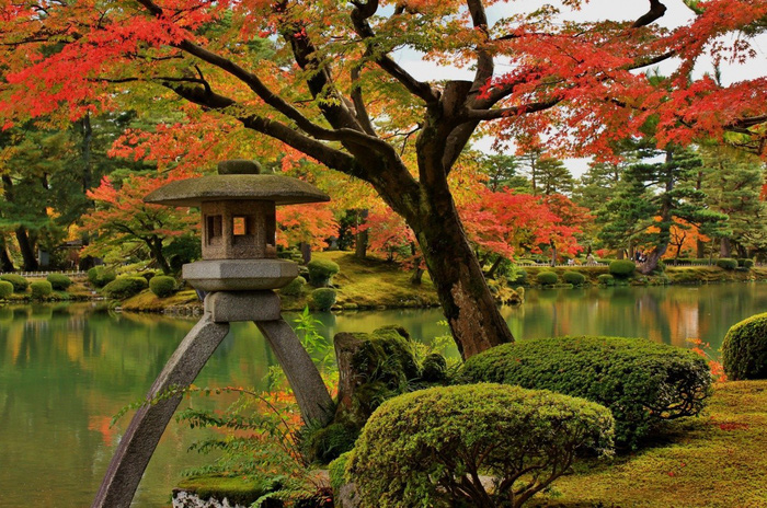 Đi Nhật Bản ngắm hoa anh đào ở đâu đẹp nhất? (phần 2) - Ảnh 2.