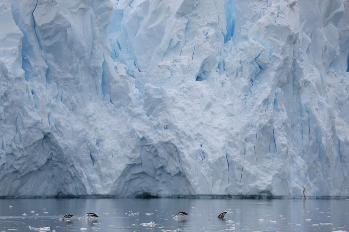 Ngắm vẻ đẹp băng giá và chim cánh cụt ở Nam cực - Ảnh 17.
