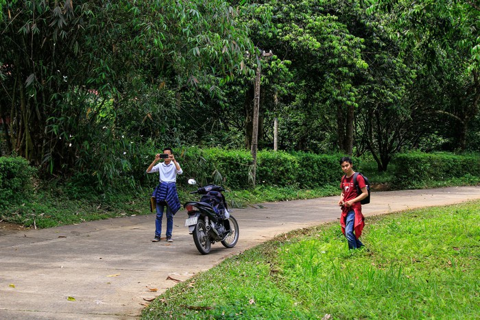 Tháng 4, đến rừng Cúc Phương săn bướm - Ảnh 9. Tháng 4, đến rừng Cúc Phương săn bướm - Ảnh 9.
