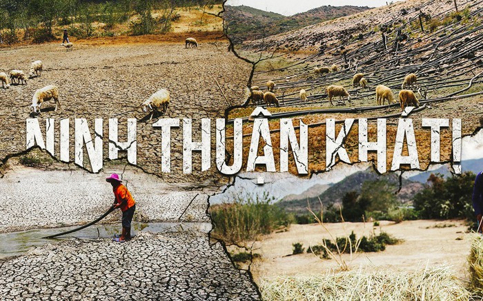 Ninh Thuận xin trung ương hỗ trợ 6 xe bồn chở nước cho dân vùng hạn - Ảnh 3.