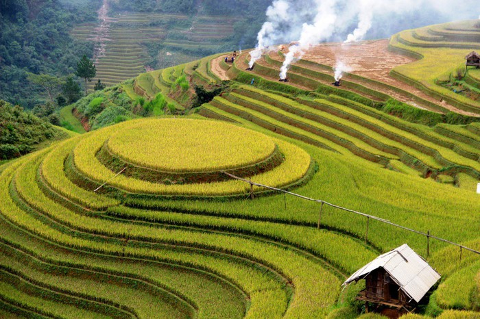 Ý kiến trái chiều về Mây pha lê trên đồi mâm xôi Mù Cang Chải - Ảnh 3. Ý kiến trái chiều về Mây pha lê trên đồi mâm xôi Mù Cang Chải - Ảnh 3.