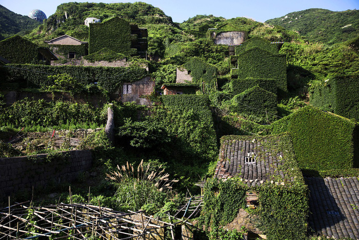 Làng chài phủ thảm thực vật xanh tươi ở Trung Quốc - Ảnh 1.