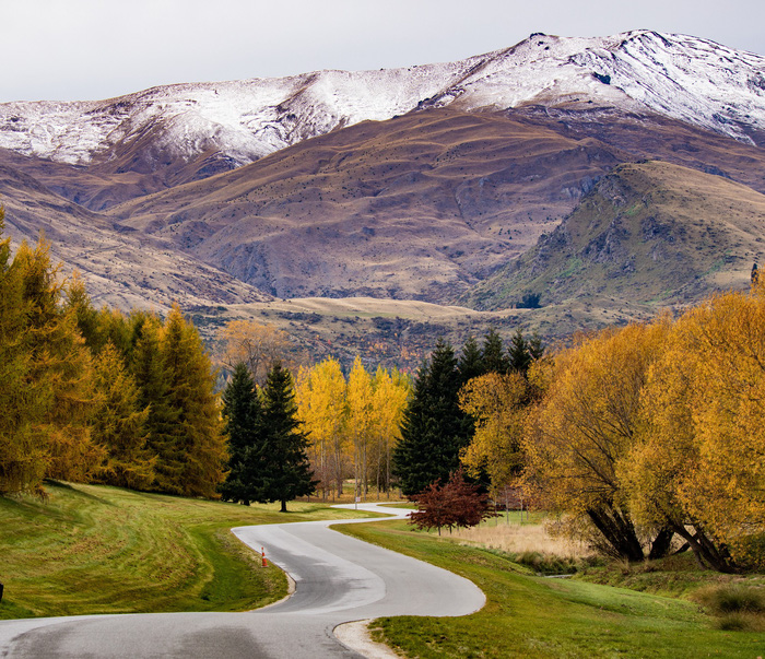 New Zealand - mùa thu mê đắm lòng người - Ảnh 1.