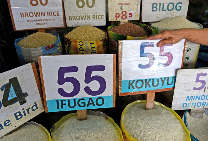 Gạo tăng giá, dân Philippines kêu trời - Ảnh 1.