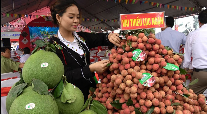 Vải thiều Lục Ngạn xịn về thủ đô, giá 29.000 đồng/kg - Ảnh 1.