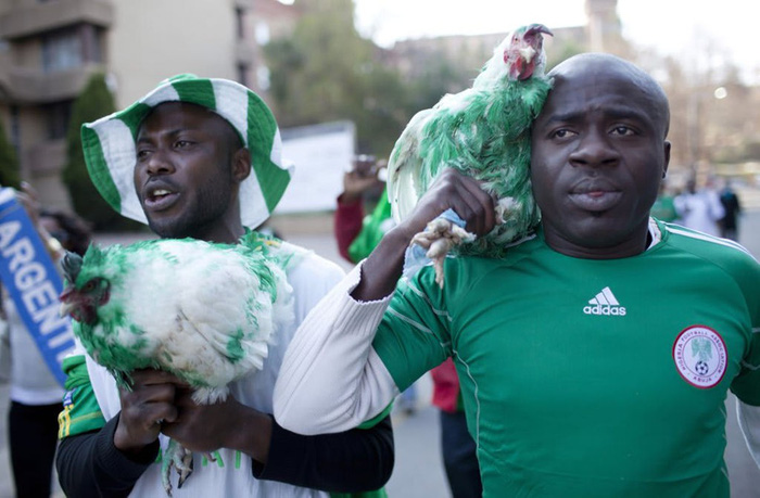 Cổ động viên Nigeria bị cấm mang gà vào sân vận động World Cup 2018 - Ảnh 3.