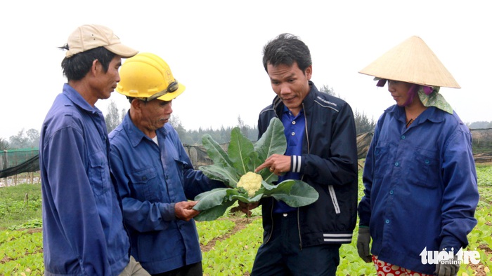 Trồng rau sạch, sống khỏe ở miền Trung - Ảnh 1.