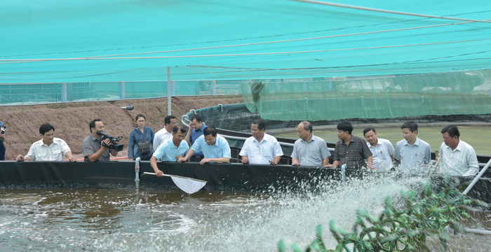 Đưa Việt Nam trở thành “thủ phủ” ngành tôm - Ảnh 1.