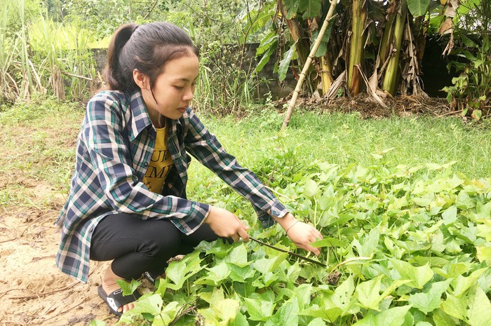 Nữ sinh góp nhặt điểm cao  từ những đoạn văn, bài báo - Ảnh 3.