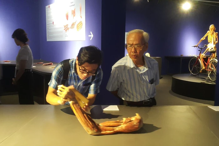 Triển lãm bộ phận cơ thể người không vướng quy định pháp luật, nhưng...  - Ảnh 1.