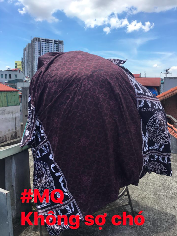 Dân mạng chia sẻ phương pháp sống sót trong nắng nóng kỷ lục - Ảnh 6.