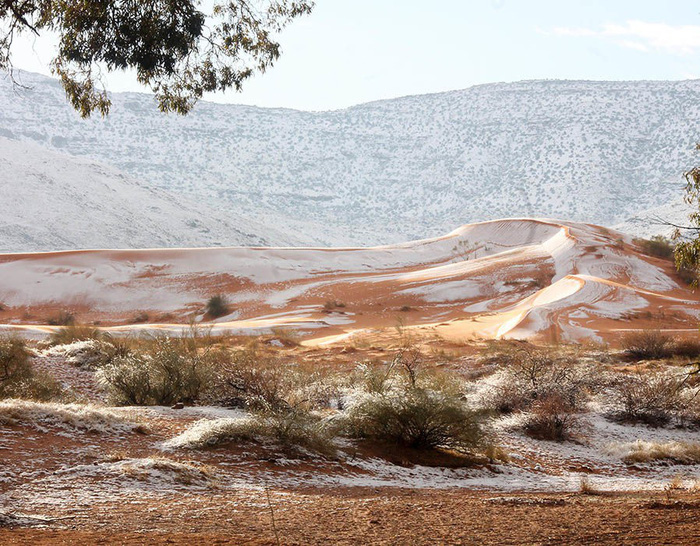 Chuyện khó tin: tuyết rơi phủ trắng sa mạc Sahara - Ảnh 9.